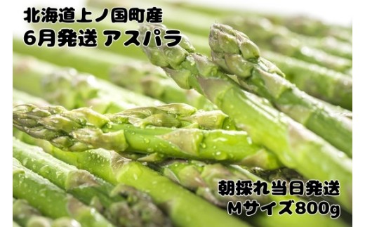 【2026年6月発送】北海道上ノ国町 寅福菜園の6月限定アスパラ　M（800g）グリーンアスパラ　朝採れ　農家直送　新鮮　甘い　春野菜　旬野菜　特産品　北海道産 1537830 - 北海道上ノ国町