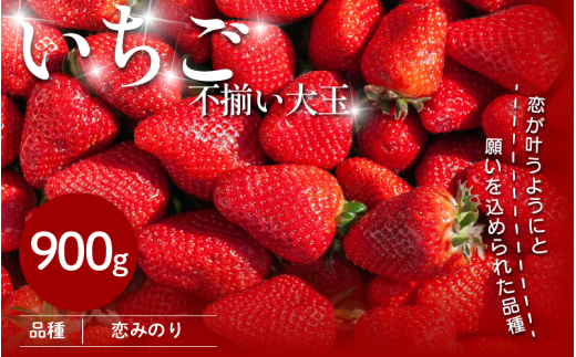 いちご 900g 先行予約 大粒 恋みのり 極上 香り 甘い 苺 イチゴ 果物 フルーツ ストロベリー ジャム スムージー 期間限定 洋菓子 家族 子ども フルーツサンド フルーツ大福 いちご大福 苺大福 ケーキ アイス シャーベット 人気 オススメ お取り寄せ グルメ ミカモフレテック みよし 徳島県 三好市
