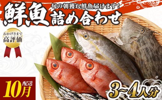 旬の朝獲れ鮮魚詰め合わせ 10月配送 鮮魚 直送 ボックス 詰め合わせ【以布利定置網　漁師直送】セット おまかせ 魚介 海鮮 魚 魚介類 海鮮セット 新鮮 天然【S00818-10】