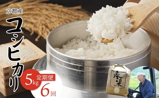 【毎月定期便】 【令和7年度産 新米】 コシヒカリ 5kg×6回 30kg 102,000円 精米 白米 お米 おこめ ごはん こしひかり ご飯 白飯 京都産 舞鶴産 農家直送 選べる間隔 お米の定期便