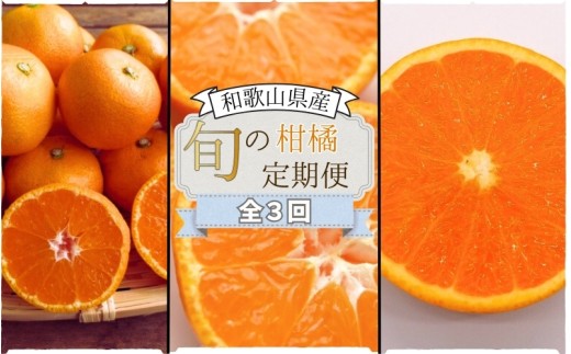 [全3回定期便]みかんの地和歌山から厳選してお届け! 人気の柑橘定期便 華 /みかん 柑橘 果物 フルーツ 定期便 温州 ミカン 不知火 でこぽん せとか オレンジ [agy100]