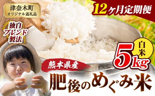 【12ヶ月定期便】白米 熊本県産 ブレンド米 肥後のめぐみ米 5kg 熊本県産 ふるさと納税 精米 米 こめ ふるさとのうぜい コメ お米 おこめ《申込月の翌月から出荷開始》