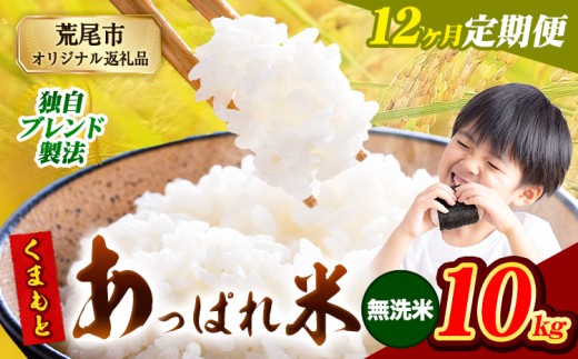 【12ヶ月定期便】熊本県産 くまもとあっぱれ米 ブレンド米 10kg 熊本県産 ふるさと納税 無洗米 精米 米 こめ ふるさとのうぜい コメ お米 おこめ《お申込み月の翌月から発送予定》
