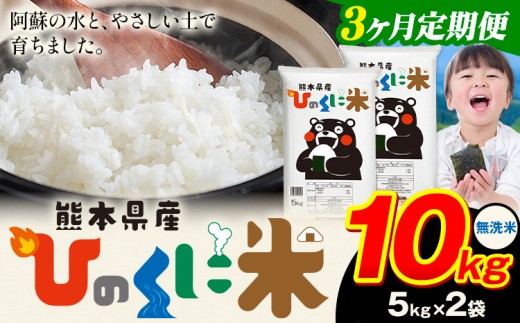 【3ヶ月定期便】 無洗米 ひのくに米 10kg 《お申込み月の翌月から出荷開始》 食品 米 こめ コメ 熊本県産 ふるさと納税 お米 おこめ 熊本