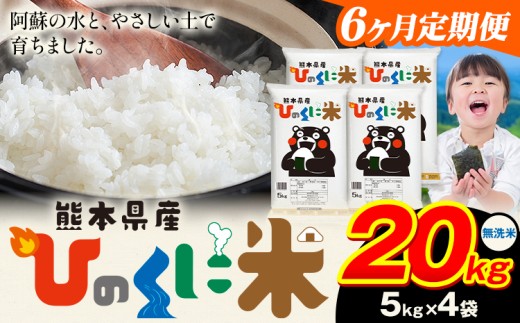 【6ヶ月定期便】 無洗米 ひのくに米 20kg 《お申込み月の翌月から出荷開始》 食品 米 こめ コメ 熊本県産 ふるさと納税 お米 おこめ 熊本