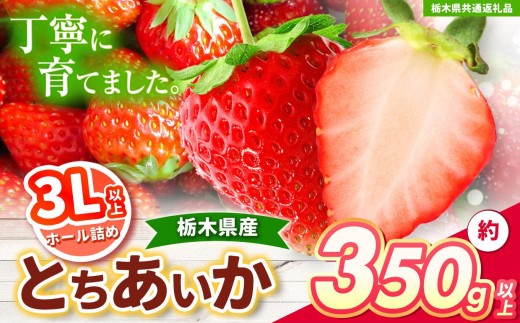 [チョイス限定企画][先行予約]とちあいか 3L以上ホール詰め 350g [栃木県共通返礼品]| いちご とちあいか 大粒 新鮮 甘い 果物 共通返礼品 フルーツ デザート 栃木県 送料無料