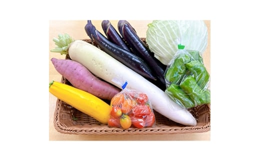 道の駅たかのスタッフ厳選!庄原市産「旬」の野菜詰め合わせ　6～8点【1639412】