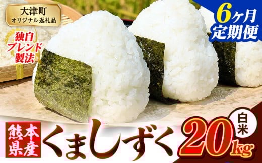 【6ヶ月定期便】白米 熊本県産 ブレンド米 くましずく 20kg 熊本県産 ふるさと納税 白米 精米 米 こめ ふるさとのうぜい コメ お米 おこめ《申込み翌月から発送》