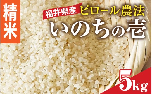 【精米】【内田農園・ピロール米】令和7年産 福井県産いのちの壱 5kg 減農薬栽培 [B-168002_02]  1722465 - 福井県福井市