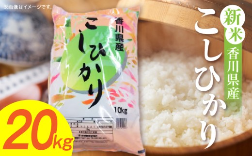 【令和7年産】香川県産こしひかり 20kg（紙袋配送）|新米 コシヒカリ こしひかり 20kg 米 白米 ごはん ご飯 朝食 白ご飯 おにぎり お弁当 おむすび お米 国産 美味しい ツヤ モチモチ 精米 おすすめ 香川県 三木町 |_mk132-110-04 2268946 - 香川県三木町