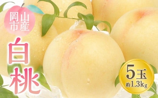 桃 2026年 白桃 5玉 合計約1.3kg [桃 もも 岡山県産 国産 フルーツ 果物 新鮮 おすすめ 人気 岡山県 岡山市 国産 先行予約 ギフト]
