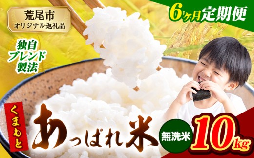 【6ヶ月定期便】熊本県産 くまもとあっぱれ米 ブレンド米 10kg 熊本県産 ふるさと納税 無洗米 精米 米 こめ ふるさとのうぜい コメ お米 おこめ《お申込み月の翌月から発送予定》