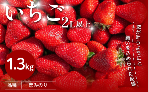 いちご 1.3kg 先行予約 大粒 2L以上 恋みのり 極上 香り 甘い 苺 イチゴ 果物 フルーツ ストロベリー ジャム スムージー 期間限定 洋菓子 家族 子ども フルーツサンド フルーツ大福 いちご大福 苺大福 ケーキ アイス シャーベット 人気 オススメ お取り寄せ グルメ ミカモフレテック みよし 徳島県 三好市