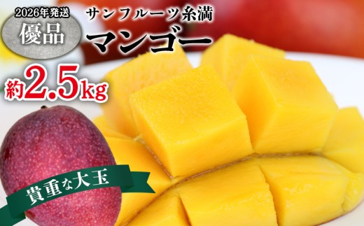 【2026年発送】サンフルーツ糸満マンゴー貴重な大玉 優品　約2.5kg 産地直送 先行予約 フルーツ 果物 くだもの アップルマンゴー アップル アーウィン種 濃厚 デザート 贅沢 旬の果物 甘い おすすめ プレゼント 贈答 冷蔵 国産 沖縄 沖縄県産 2142506 - 沖縄県宜野座村