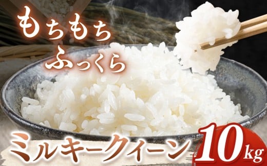 【 数量限定 】2週間以内に発送 令和6年産 君津市産 ミルキークィーン 精米 10kg | きくばり農園 おにぎり お弁当 しんまい シンマイ  千葉県産  米 コメ こめ お米 千葉県 君津市 きみつ