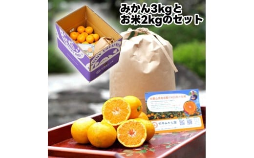 ▼由良早生みかん 3kg(サイズ混合)+米2kg(キヌヒカリ精米) ※11月上旬~順次発送予定 【tkn004-r-3setA】 2268353 - 和歌山県広川町
