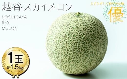 No.306 越谷スカイメロン　優玉 ／ メロン みずみずしい 爽やかな味 美味 人気 1玉 1.5kg 贈答品 贈り物 ギフト プレゼント フルーツ 果物 くだもの 埼玉県