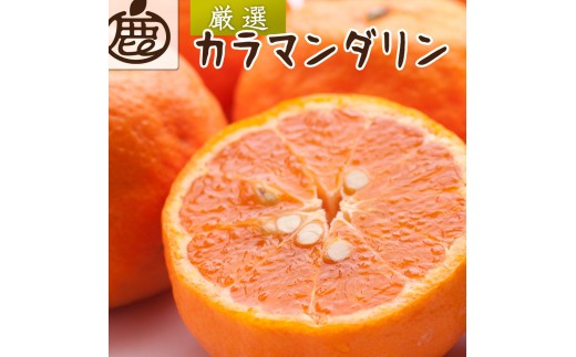 厳選 カラマンダリン 10kg+250g（傷み補償分）【南津海・なつみ】【希少な春柑橘】【みかんと同じように食べられます】 ［IKE281］