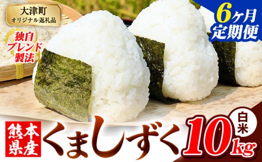【6ヶ月定期便】白米 熊本県産 ブレンド米 くましずく 10kg 熊本県産 ふるさと納税 白米 精米 米 こめ ふるさとのうぜい コメ お米 おこめ《申込み翌月から発送》