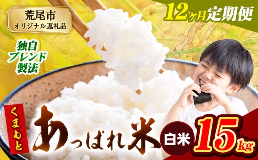【12ヶ月定期便】熊本県産 くまもとあっぱれ米 ブレンド米 15kg 熊本県産 ふるさと納税 白米 精米 米 こめ ふるさとのうぜい コメ お米 おこめ《お申込み月の翌月から発送予定》