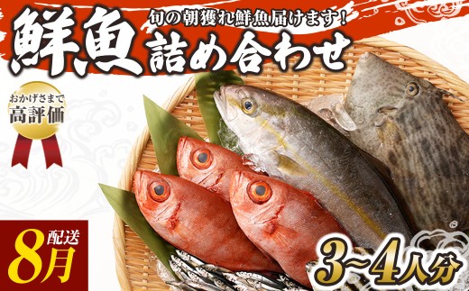 旬の朝獲れ鮮魚詰め合わせ 8月配送 鮮魚 直送 ボックス 詰め合わせ【以布利定置網　漁師直送】セット おまかせ 魚介 海鮮 魚 魚介類 海鮮セット 新鮮 天然【S00818-8】