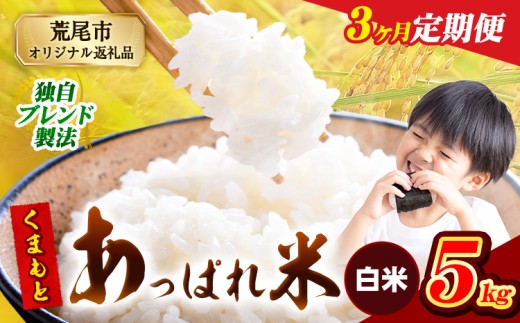【3ヶ月定期便】熊本県産 くまもとあっぱれ米 ブレンド米 5kg 熊本県産 ふるさと納税 白米 精米 米 こめ ふるさとのうぜい コメ お米 おこめ《お申込み月の翌月から発送予定》 2271909 - 熊本県荒尾市