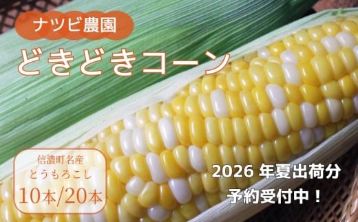 2026年夏の早期予約受付開始!ナツビ農園『どきどきコーン』10本セット(約4.5kg)/ 20本セット(約9kg) 生でも食べられる信濃町名産とうもろこし/白と黄色のバイカラー品種 令和8年7月下旬〜8月下旬に出荷予定[長野県信濃町ふるさと納税]