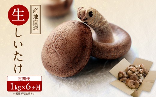 【 産地直送 】 有機JAS 生しいたけ定期便 1kg×6ヶ月 オーガニック しいたけ きのこ 野菜 岡山県 玉野市 栽培期間中化学肥料不使用 栽培期間中農薬不使用