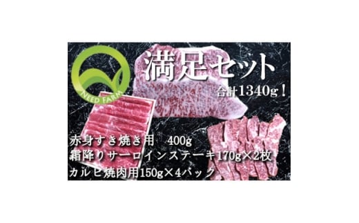 おおいた和牛 満足セット(カルビ焼肉・赤身すき焼き・サーロインステーキ)【1395462】