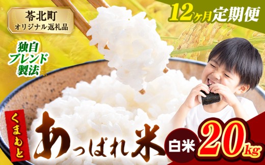 【12ヶ月定期便】熊本県産 くまもとあっぱれ米 ブレンド米 20kg 熊本県産 ふるさと納税 白米 精米 米 こめ ふるさとのうぜい コメ お米 おこめ《お申込み月の翌月から発送予定》