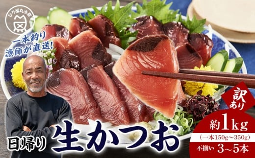 かつお一本釣り漁師が直送！ 日帰り生かつお 訳あり 約1kg入 2267535 - 和歌山県白浜町