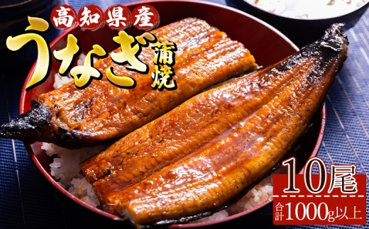 高知県産養殖うなぎ蒲焼 10尾(合計1000g以上) - 鰻 ウナギ 国産 蒲焼き かば焼き かばやき うな丼 うな重 ギフト お中元 御中元 父の日 お礼 御礼 感謝 贈答 贈り物 土用の丑の日 高知県 香南市 ss-0041 425575 - 高知県香南市