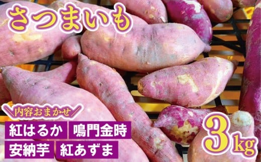 さつまいも 約 3kg おまかせ 紅はるか 鳴門金時 紅あずま 安納芋 2025年11月中旬～発送予定 生芋 サツマイモ さつま芋 焼き芋 やきいも 干し芋 芋 イモ 野菜 おやつ デザート 秋 旬 徳島県 吉野川市