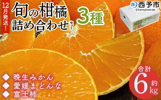 ＜12月発送！旬の柑橘 詰め合わせセット 3種×各2kg＞ 果物 フルーツ みかん ミカン 蜜柑 柑橘 オレンジ マドンナ 晩生みかん 愛媛まどんな 富士柿 かき 特産品 宇都宮物産 愛媛県 西予市【常温】『12月に順次出荷予定』