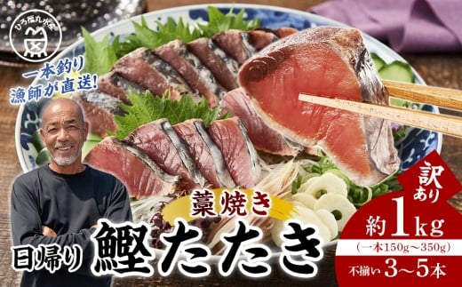 かつお一本釣り漁師が直送！ 日帰りかつおの藁焼きたたき 訳あり 約1kg入 2267534 - 和歌山県白浜町