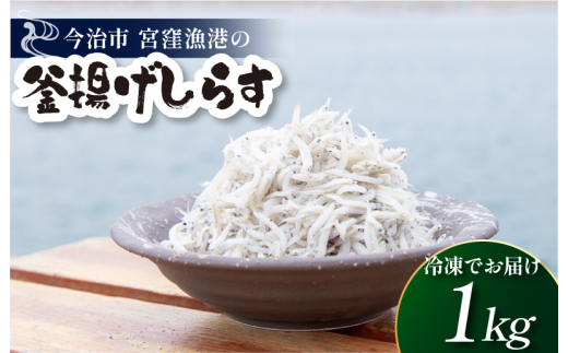 宮窪の漁師が獲った「釜揚げシラス」＜満腹セット1kg（冷凍真空包装200g×5袋）＞【V002810SET5】