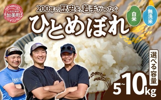 【選べる内容量】 米 宮城県産 ひとめぼれ 5kg 10kg ブランド米 白米 精米 ご飯 ごはん コメ こめ お米 小分け