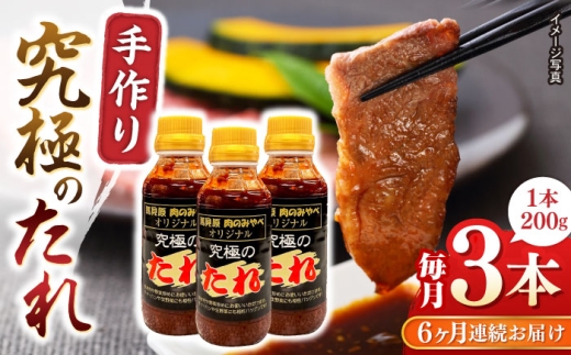 自家製 究極のたれ 200g×3本 セット 手作り 焼き肉のタレ 野菜炒め 焼き肉 調味料 オリジナル タレ 焼肉 定期便