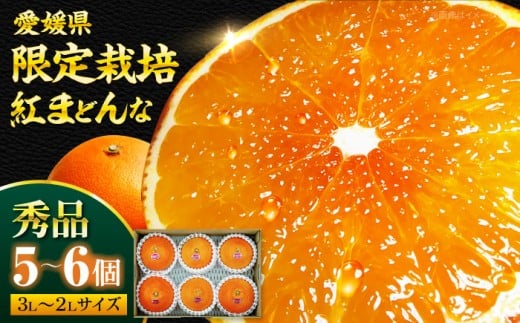 みかん オレンジ フルーツ ミカン 果物 