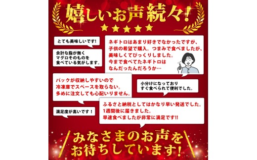 愛媛県松山市のふるさと納税 ネギトロ 1.25kg ( 250g×5パック ) 冷凍 小分け 大盛り 1人前 パック 自家製 鮪 まぐろ ねぎトロ ねぎとろ 寿司 ネギトロ丼 愛媛県 松山市 赤身 小分け ( ねぎとろ ネギトロ 自家製 ネギトロ ねぎとろ 鮪 ねぎとろ ねぎトロ ねぎとろ まぐろ 鮪   きはだ まぐろ ばち まぐろ寿司 ネギトロ丼 ねぎとろ ネギトロ )