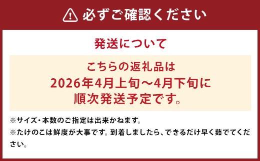 たけのこ 約3kg　ぬか・とうがらし付　