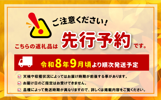 一口で広がる贅沢な甘さ、ナガノパープル。