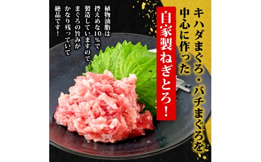 愛媛県松山市のふるさと納税 ネギトロ 1.25kg ( 250g×5パック ) 冷凍 小分け 大盛り 1人前 パック 自家製 鮪 まぐろ ねぎトロ ねぎとろ 寿司 ネギトロ丼 愛媛県 松山市 赤身 小分け ( ねぎとろ ネギトロ 自家製 ネギトロ ねぎとろ 鮪 ねぎとろ ねぎトロ ねぎとろ まぐろ 鮪   きはだ まぐろ ばち まぐろ寿司 ネギトロ丼 ねぎとろ ネギトロ )