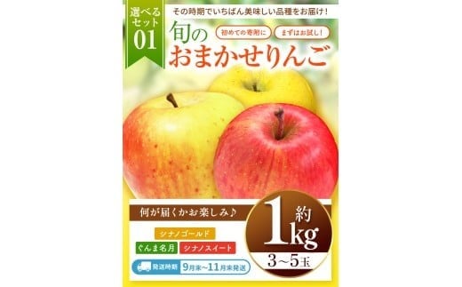信州から直送！旬のりんごをお好きな品種で♪