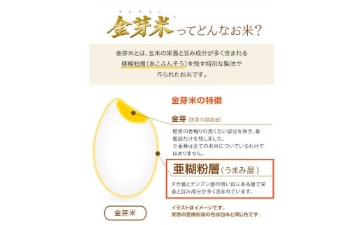 那岐山麓菜の花米金芽米（ コシヒカリ ）10kg