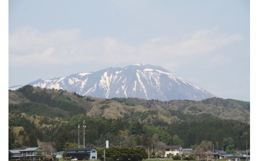 滝沢市は自然豊かな地域で、そこで稲は栽培されています。