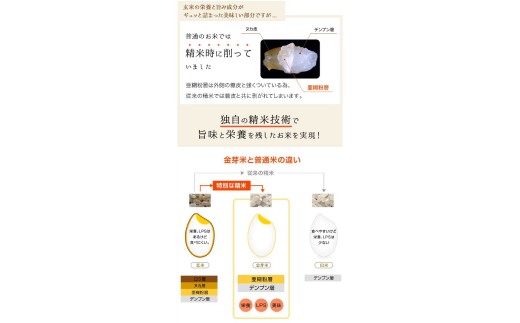 那岐山麓菜の花米金芽米（ コシヒカリ ）10kg
