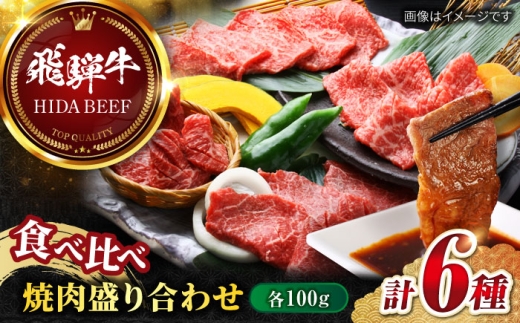 【12月上旬発送】【飛騨牛】食べ比べ 焼肉盛り合わせ6種 各100g / 飛騨牛 ひだぎゅう 焼肉 やきにく 牛肉 和牛 ミスジ イチボ 飛騨牛 岐阜市/丸福商店  [ANBO027-12-1] 2271045 - 岐阜県岐阜市