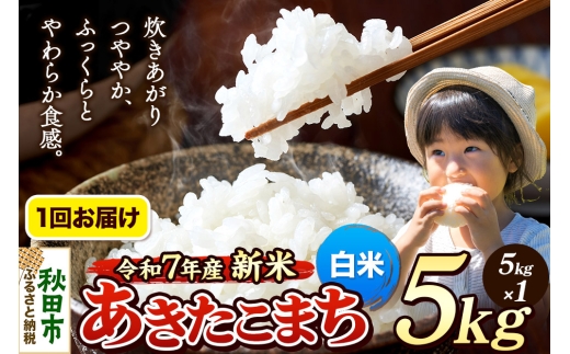 [令和7年産 新米先行受付] 米 あきたこまち 5kg [白米] 秋田県産