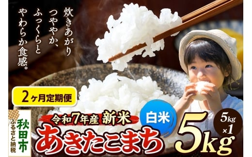 《令和7年産 新米先行受付》《定期便2ヶ月》 米 あきたこまち 5kg 【白米】 秋田県産 2271223 - 秋田県秋田市